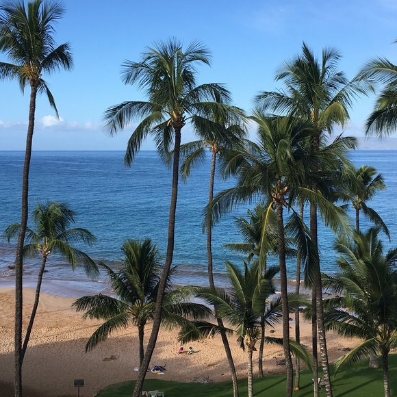 Meet your Posher - Picture 1 of 1